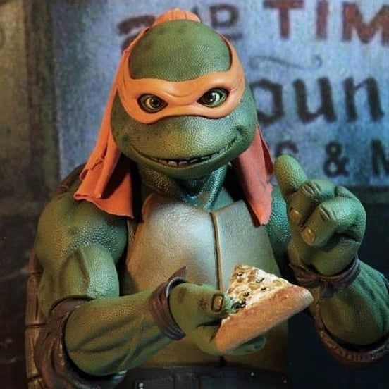 Turtle